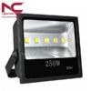 Đèn pha LED 250w PNC21