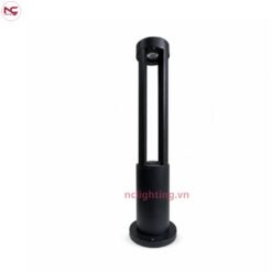 Dn01 được chụp từ dưới lên