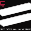 Đèn LED Panel 300x1200