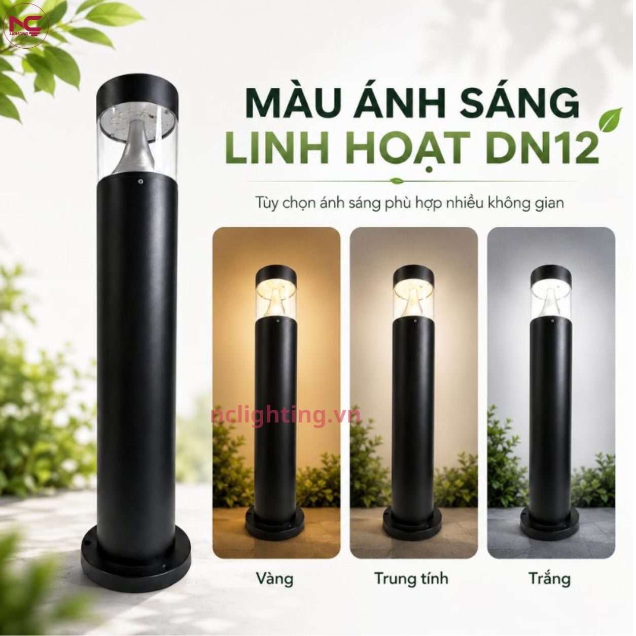 DN12 có 3 màu ánh sáng gồm vàng, trung tính, trắng