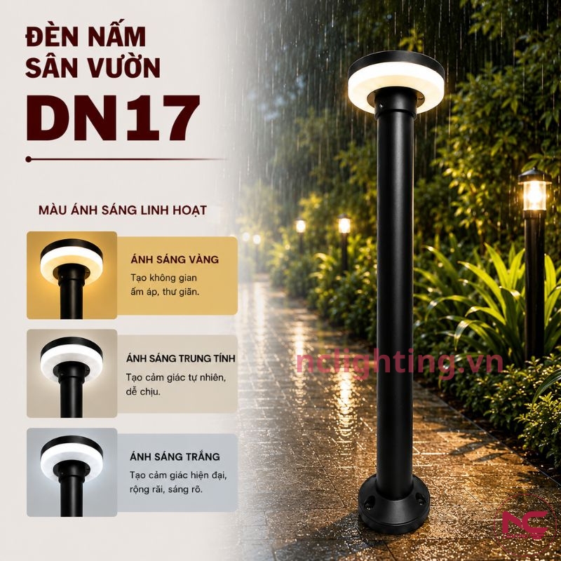 DN17 có ánh sáng đa dạng