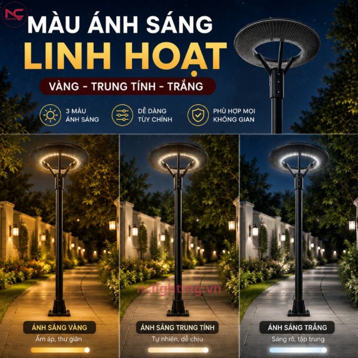 DN16 có màu sắc linh hoạt gồm vàng, trung tính, trắng