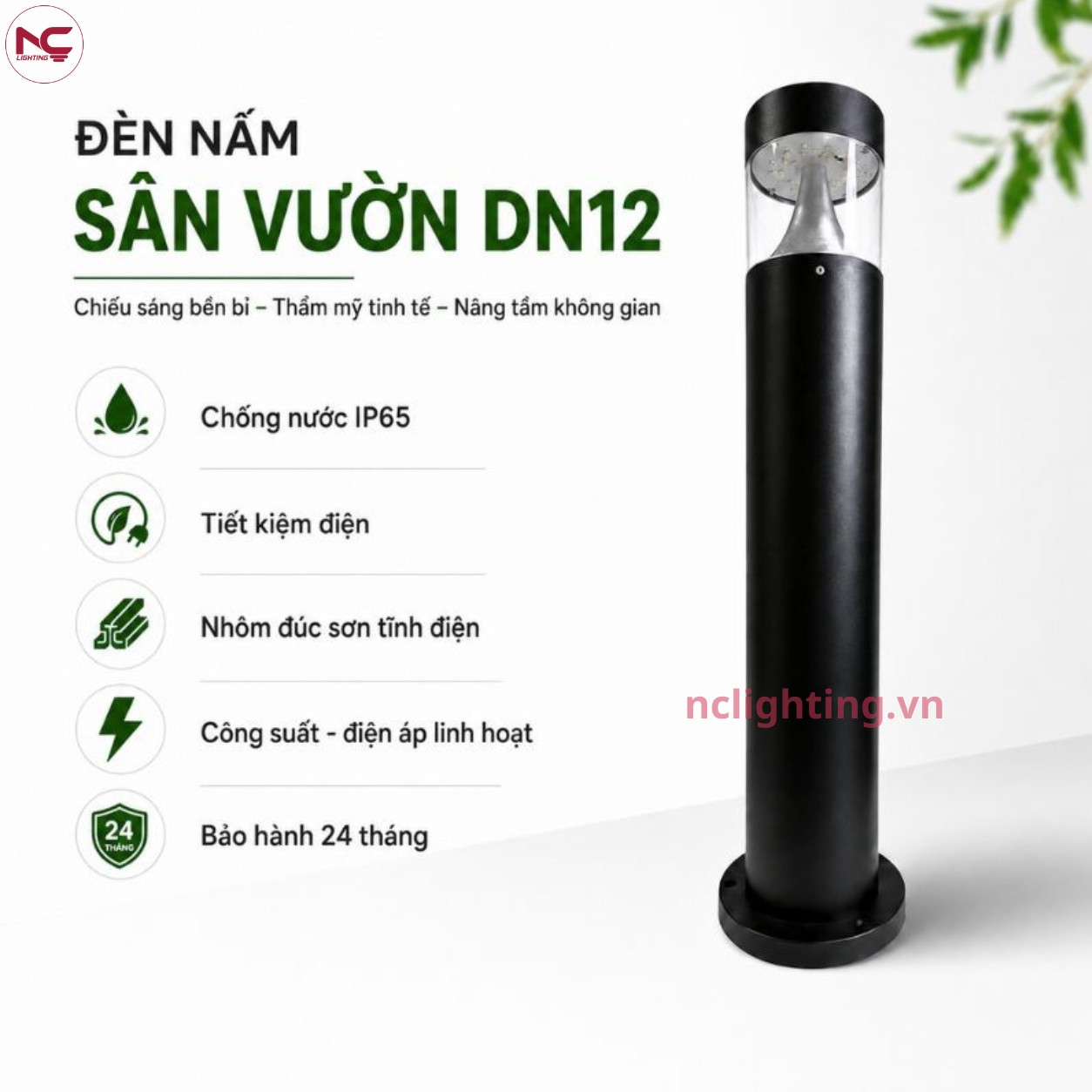Thông tin của DN12 đầy đủ chi tiết