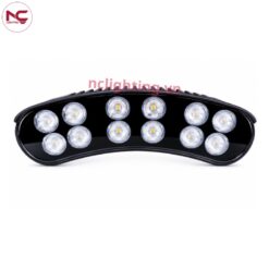 NOGC được nhìn tổng thể