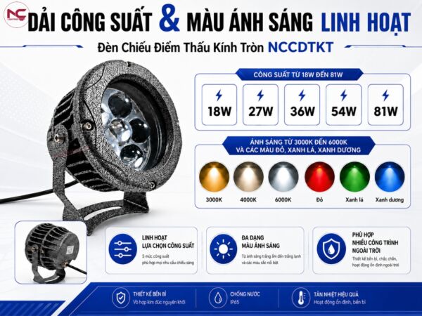 NCCDTKT đa dạng công suất và màu ánh sáng