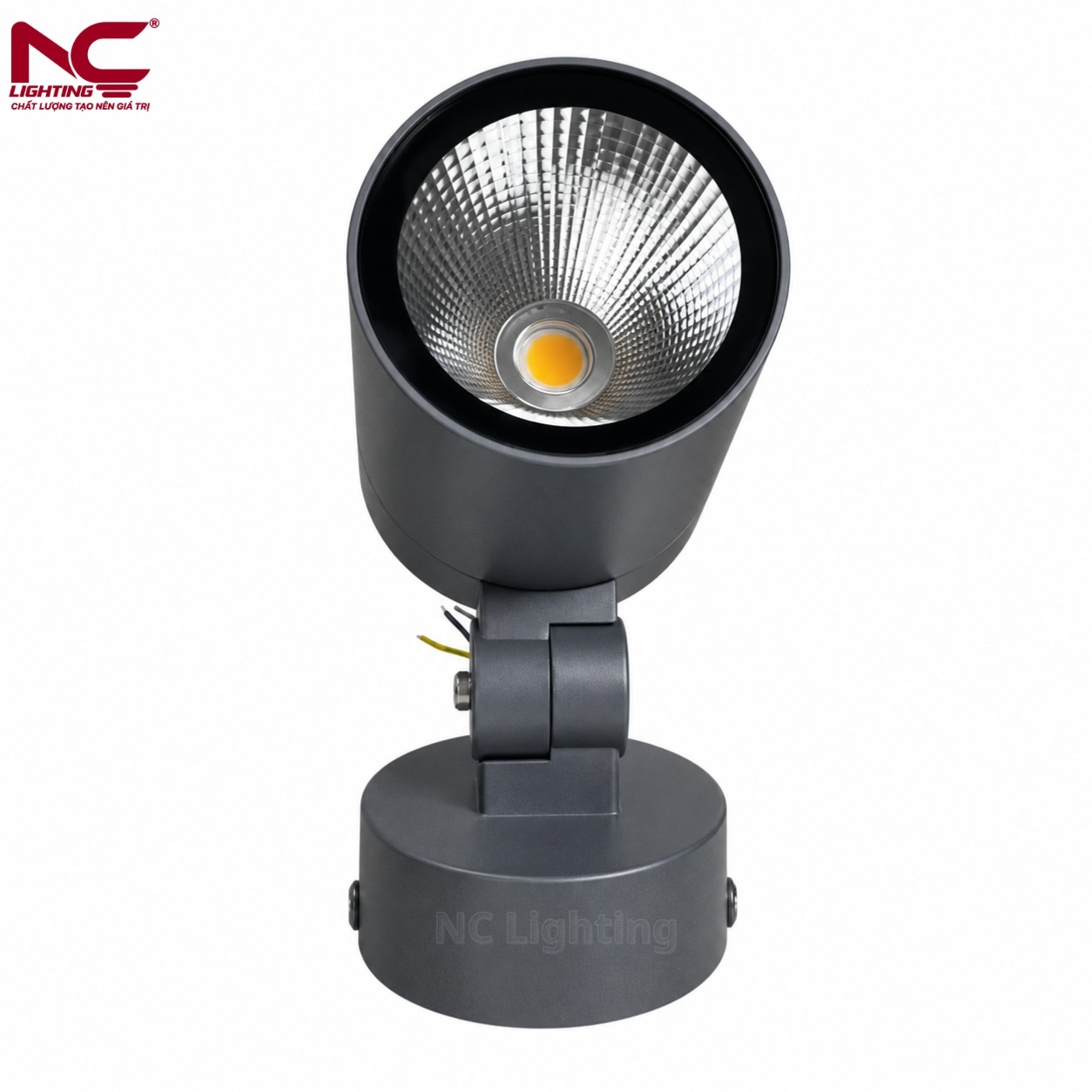 4-nccnd-truc-dien NCCND chính diện