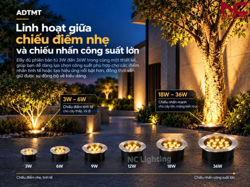 Mô phỏng sự linh hoạt giữa chiếu điểm và chiếu nhấn của ADTMT