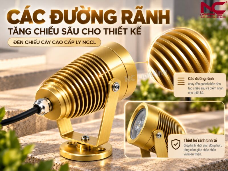 NCCL có đường rãnh sâu nửa dưới thân đèn