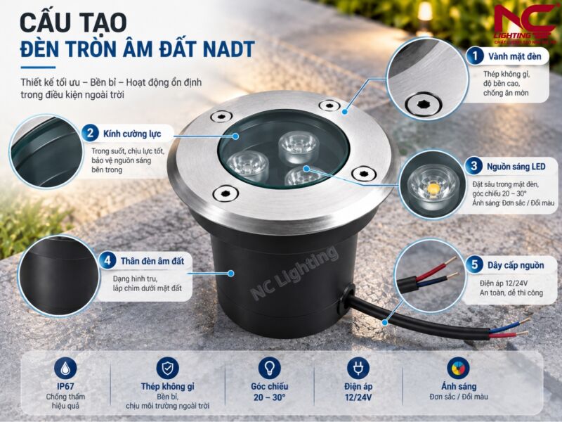 Cấu tạo NADT