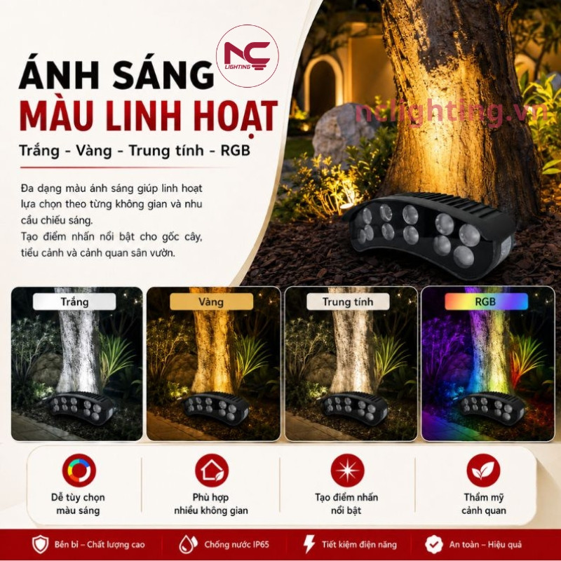 NOGC có màu ánh sáng linh hoạt gồm trắng, vàng, trung tính, rgb