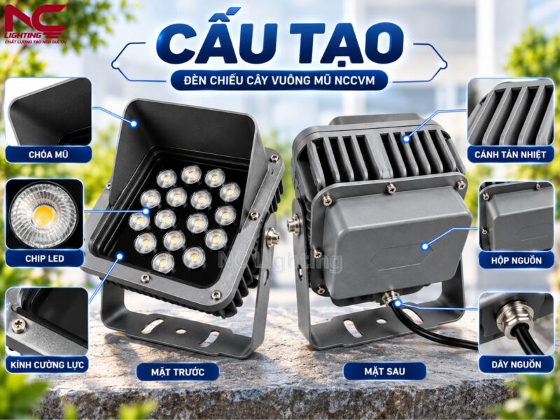 Cấu tạo chi tiết mặt trước và sau của NCCVM