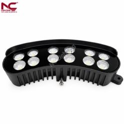 NOGC hắt ngược lên
