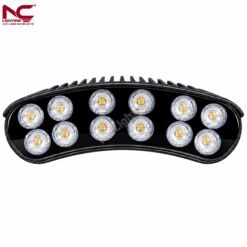 NOGC trực diện