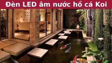 đèn led âm nước hồ cá koi