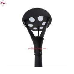 DN29 được chụp từ bên trong
