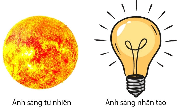 Phân loại nguồn sáng gồm ánh sáng tự nhiên và ánh sáng nhân tạo