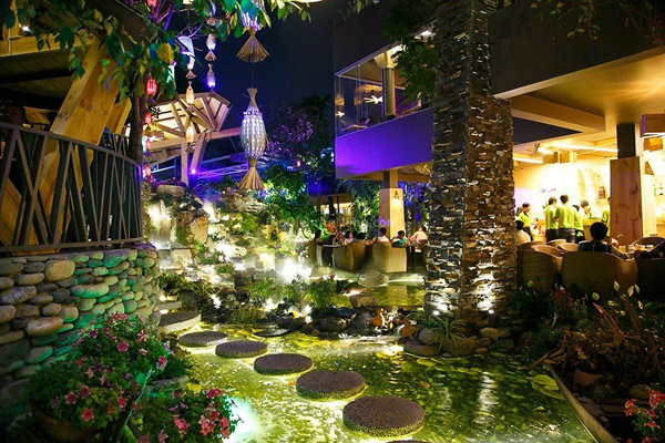 Cách bố trí đèn quán cafe khu vực lối đi bằng đèn trang trí quấn cây