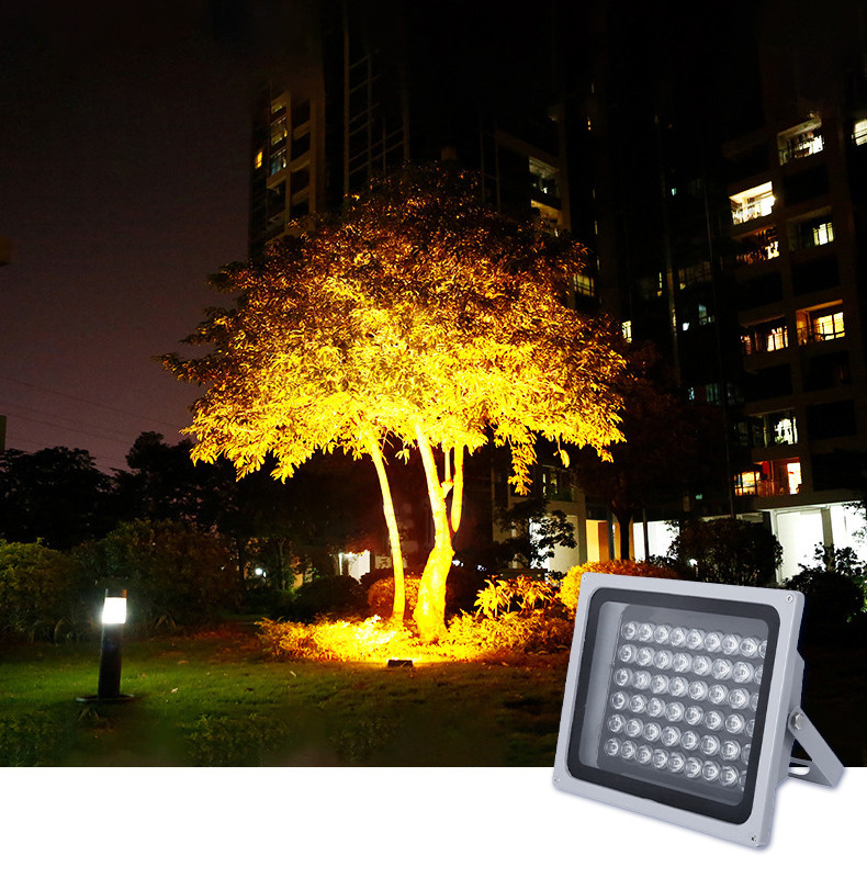 Đèn pha đang chiếu sáng cây canh trong sân vườn