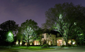 Đèn rọi cây ngoài trời làm nổi bật tán cây