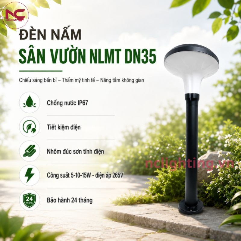 Thông tin của Dn35