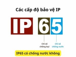 IP65 có chống nước và chịu mưa không