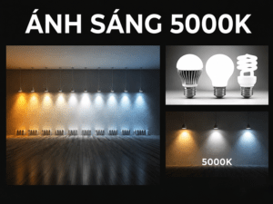 khái niệm 5000k là gì