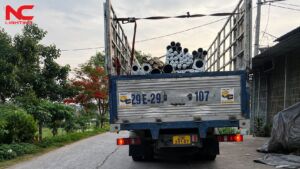 hàng đã trên xe và đang đi đến Đình Trung