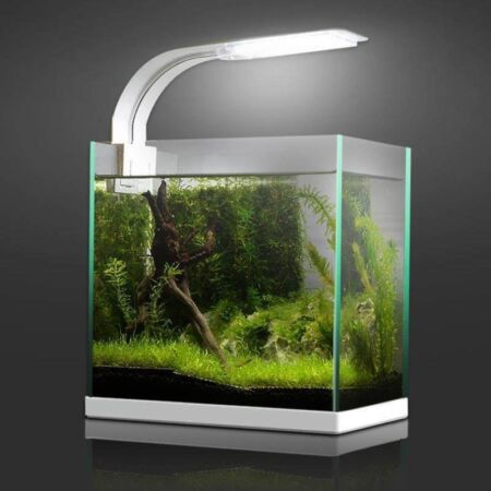 Đèn kẹp bể cá để bàn được kẹp ở thành bể