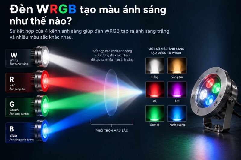 Cách tạo màu của đèn WRPG